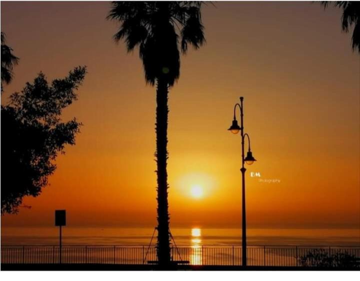 Solemar Milicia Βίλα Altavilla Milicia Εξωτερικό φωτογραφία